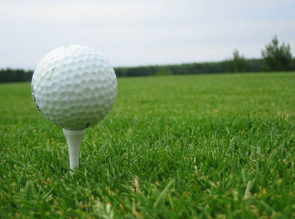Golf Ball Holder in Grass