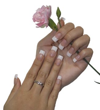 Hands with Pink Rose