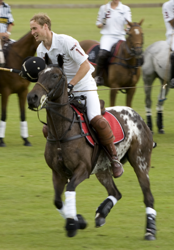 Prince William at a Polo match