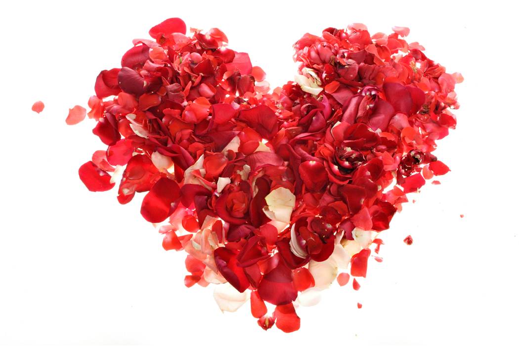 Valentine Rose Heart