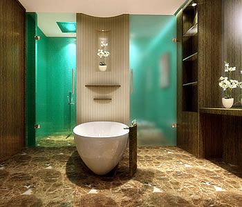  Bathroom Designs on Spa Tubs Showers Jpg