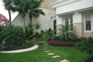 Beautiful Green Garden