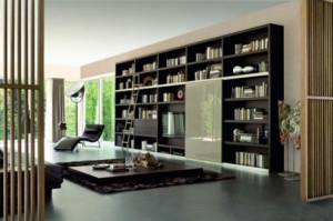 Elegance Unique Style Bookcases
