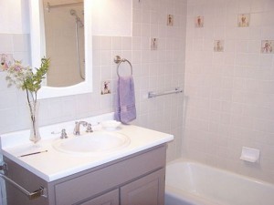 Purple Clean Bathroom Decorating