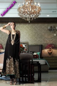 Nimsay Embroidered Chiffon Collection 2012