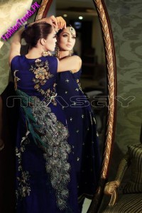 Nimsay Embroidered Chiffon Collection 2012