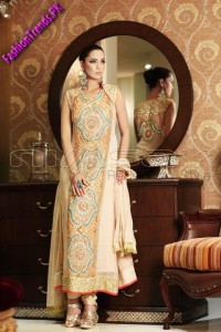 Nimsay Embroidered Chiffon Collection 2012