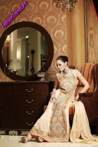 Nimsay Embroidered Chiffon Collection 2012