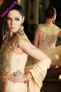 Nimsay Embroidered Chiffon Collection 2012
