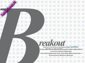 South Cal Summer Collection 2012 by Breakout