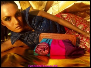 Mahin Hussain Accessories Handbags Collection 2012
