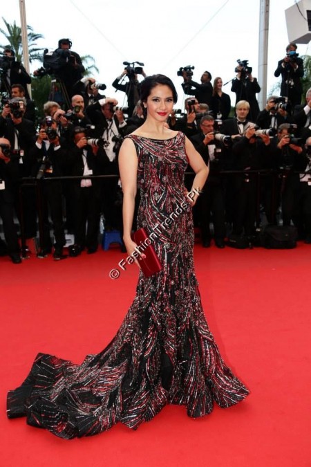 Cannes Film Festival 2013 Red Carpet Pictures