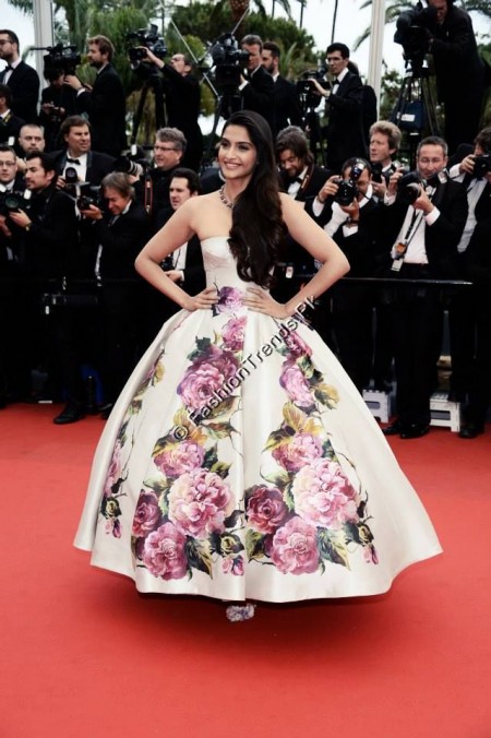 Cannes Film Festival 2013 Red Carpet Pictures