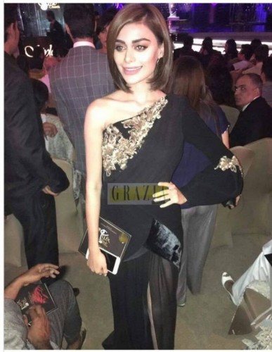 Lux Style Awards 2017 Celebrities Pictures Lux Style Awards 2017 Celebrities Pictures